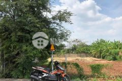 Đất thổ vườn đường nguyễn thị chiên, 250m2, giá 2tỷ450 đường nhựa 8m cực đẹp