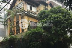 Bán nhà biệt thự trần bình, cầu giấy, 110m, 4t, gara, kinh doanh, 19,5 tỷ 0987616218