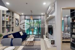 Nhà hà nội chung cư vinhome smart city không gian xanh