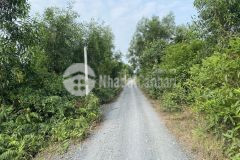 Cần tiên gấp bán đất hàng thơm bến lứt thạnh hòa