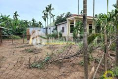 Đất giá rẻ triệu giang triệu phong thích hợp đầu tư lẫn an cư