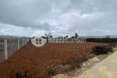 Chỉ với 650tr đã sỡ hữu ngay lô đất tại khu bạch đàn thị trấn thạnh mỹ