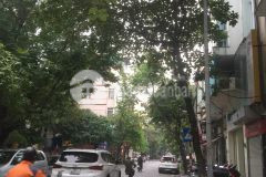 Bán nhà phố lê đức thọ, nam từ liêm, 50m, 6t, gara, kinh doanh, 8,6 tỷ 0987616218