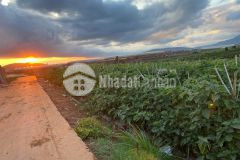 Cần ra đi nhanh 1 lô đất ngay đồi bạch đằng thạnh mĩ đơn dương lâm đồng với giá siêu rẽ 650 triệu