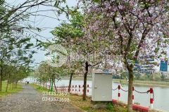 Cần bán lô tđc đà gạo, sát cnc hòa lạc giá 15tr5m2 oto tránh