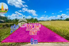 Loa loa loa còn 1 nền duy nhất nằm sau trường học.