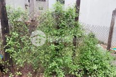 Cần bán đất kim quan 52m2,mt 4m nhỉnh 3 tỷ