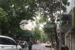 Bán nhà liền kề trần bình, cầu giấy, 110m, 8t, thang máy, kinh doanh, 44 tỷ 0904656981