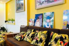 Nhà mặt ngõ ô tô vào nhà lê đức thọ sát vách zei plaza 8.8 tỷ