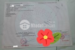 Bán đất đường trần quý khoách, phường hòa minh, quận liên chiểu