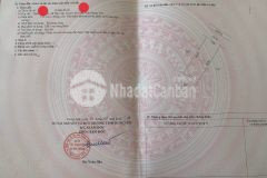 Đất sổ đỏ full thổ cư 153m thư thị tân lập, yên mỹ, hưng yên.