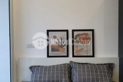 Tôn thất tùng, kinh doanh, dòng tiền 10 năm, 17 phòng studio khép kín giá 12.8 tỷ