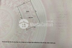 Hot nhà cầu giấy, phân lô, 6 tầng, kinh doanh, vỉa hè, 45m.