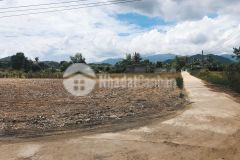 Bán đất 2 mặt tiền lô góc diên đồng