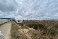 Cần ra đi nhanh lô đất tại lạc xuân đơn dương lâm đồng với giá rẻ chỉ 580tr