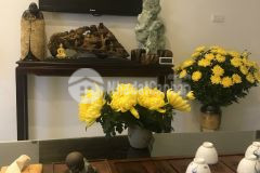 Bán nhà đẹp hoàng hoa thám ngọc hà, xem là ưng,40m2,5 tầng,như mớigiá chỉ 5 tỷ