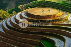 Bán mảnh đất nằm trên mặt đường ql6 mộc châu