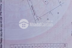 Bán gấp lô đất 1,022m2, mặt tiền đường thanh niên, tam thanh, thành phố tam kỳ, quảng nam