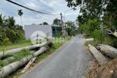 Đất nền số 02 mặt tiền đường huyện 90d, nhựa 5m