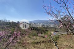 Lợi nhuận tăng lên từng ngày khi sở hữu khuôn đất tại phan cán xử y tý sapa2