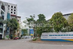 Cực đẹp, biệt thự phố ái mộ, phân lô, vỉa hè, mặt tiền 9m.