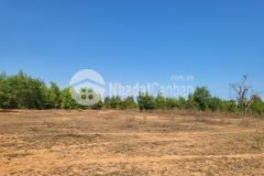 10880m2 chỉ có 1.523 tỷ, sổ hồng mới, cách sân bay phan thiết 20 phút di chuyển, giá cực tốt