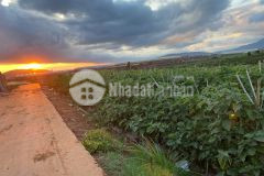 Cần ra đi nhanh lô đất tại thị trấn thạnh mỹ chỉ với 650 triệu