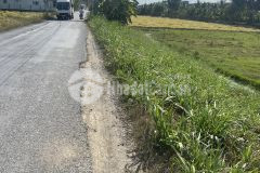 Đất vườn giá rẻ lợi bình nhơn, long an