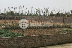 Full thổ cư giá chỉ 13trm tại nam cương mt 9.6m ô tô qua.