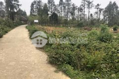 Bán gần 900m2 ngay đường nguyễn chí thanh sapa giá đẹp cho các nhà đầu tư