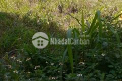 Bán 270m2 đất thổ 2mt tại tp quảng ngãi, shr, 1.85 tỷ. lh0345117579.