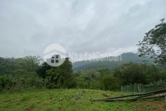 Bán nhanh 1000m2 đất với giá 1,7trm2 tại tú sơn