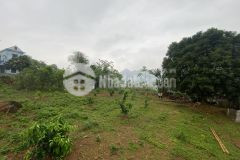 Bán gấp 1600m2 đất ở tú sơn, kim bôi