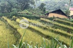 Bán đất trung tâm y tý sapa 2 thành phố du lịch ven biên giới