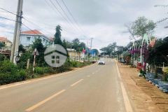 Em đang có sẵn 2 lô đất tại xã phi tô huyện lâm hà với giá chỉ 1.450 tỉ