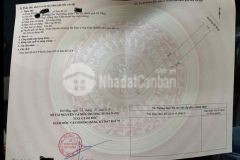 Bán đất đường nguyễn nhàn, phường hòa thọ đông, quận cẩm lệ