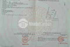 Bán đất siêu rẻ xã long sơn, huyện cần đước, tỉnh long an