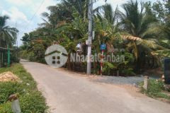 Đất mặt tiền đường trần trọng quốc. thuộc xã phước thạnh tp mỹ tho