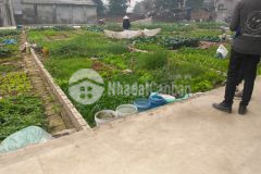 Cần bán 46 m2 ngọc động, đa tốn, gia lâm 1.800.000.000 đ