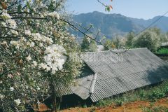 Bán mảnh đất nằm trên mặt đường ql6 mộc châu có nhà