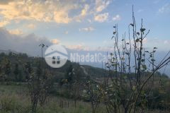 Sở hữu ngay 1084m2 mảnh đất trung tâm y tý giá phù hợp để đầu tư