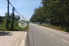 Bán 6000m2 đất vườn ở bàu bàng, bình dương