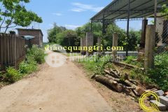 Bán đất nền giá rẻ khu vực ven đông hà. khu vực hà xá, cách đường lê duẩn 500m