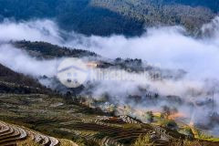Siêu phẩm, phan cán sử, y tý, sapa, 1570m, best view. săn mây đẳng cấp, chỉ hơn 1trm2.