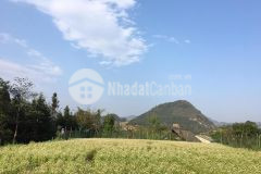 Cực hot hiếm bán lô đất nền sa pa vị trí đón đầu xu hướng thôn sả xéng, tả phìn.