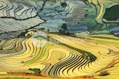 Bán đất nền nghỉ dưỡng sapa.view săn mây.phù hợp kinh doanh homestay,nhà hàng...