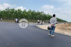 Đất kcn an linh 1000ha, dt 13 x 80 mặt nhựa dh512, nhanh tay sở hữu vị trí đẹp trung tâm