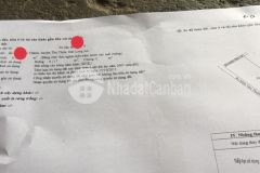 Đất vườn giá rẻ tân thành thủ thừa long an