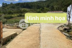 D1135 bán nhanh lô đất hẻm ô tô xã hiệp an định an đức trọng