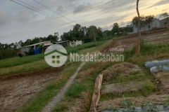 Bán đất nông nghiệp ấp trại cá,xã tân hòa huyện gò công đông tỉnh tiền giang